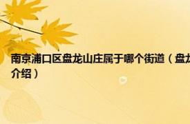 南京浦口区盘龙山庄属于哪个街道（盘龙山庄 江苏省南京市浦口区下辖村相关内容简介介绍）