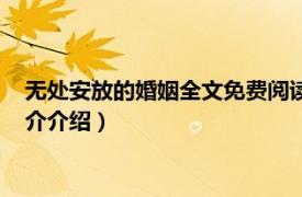 无处安放的婚姻全文免费阅读（我们无处安放的婚姻相关内容简介介绍）