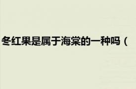 冬红果是属于海棠的一种吗（‘冬红果’海棠相关内容简介介绍）