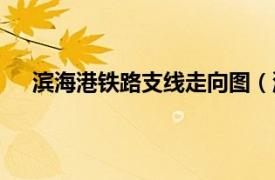 滨海港铁路支线走向图（滨港铁路相关内容简介介绍）