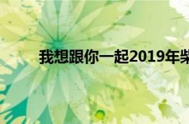 我想跟你一起2019年柴碧云、主演的电视剧介绍