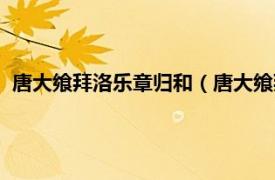 唐大飨拜洛乐章归和（唐大飨拜洛乐章通和相关内容简介介绍）