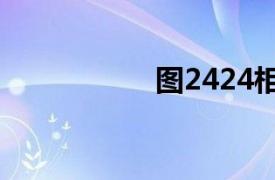 图2424相关内容介绍