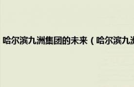 哈尔滨九洲集团的未来（哈尔滨九洲集团股份有限公司相关内容简介介绍）