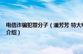 电信诈骗犯罪分子（潘芳芳 特大电信网络诈骗犯罪在逃人员相关内容简介介绍）