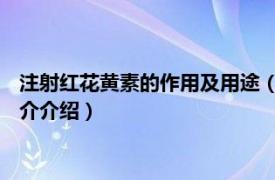 注射红花黄素的作用及用途（注射用红花黄色素 中药相关内容简介介绍）