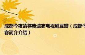 成都今夜请将我遗忘电视剧豆瓣（成都今夜请将我遗忘 2007年秦海璐主演电视剧相关内容简介介绍）