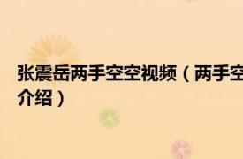 张震岳两手空空视频（两手空空 张震岳演唱的歌曲相关内容简介介绍）