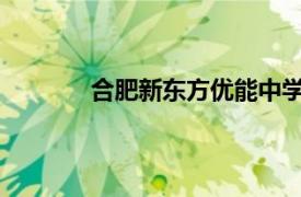 合肥新东方优能中学教育相关内容简介介绍