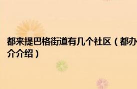 都来提巴格街道有几个社区（都办都来提巴格社区志愿者服务队相关内容简介介绍）