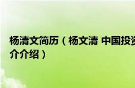 杨清文简历（杨文清 中国投资有限责任公司纪委书记相关内容简介介绍）