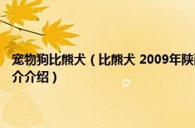 宠物狗比熊犬（比熊犬 2009年陕西科学技术出版社出版的图书相关内容简介介绍）