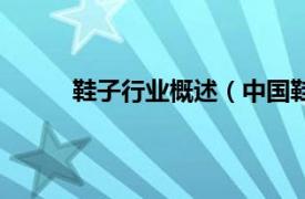 鞋子行业概述（中国鞋业网相关内容简介介绍）