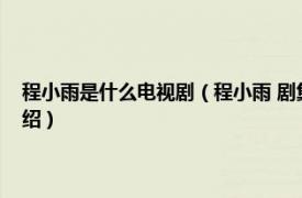 程小雨是什么电视剧（程小雨 剧集《流金岁月》里的角色相关内容简介介绍）