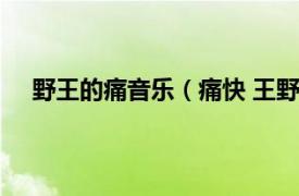 野王的痛音乐（痛快 王野演唱歌曲相关内容简介介绍）