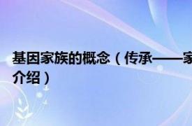 基因家族的概念（传承——家族基因的秘密 中国篇相关内容简介介绍）