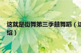 这就是街舞第三季囍舞蹈（这！就是街舞第三季相关内容简介介绍）