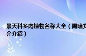 景天科多肉植物名称大全（黑暗女神 景天科长生草属多肉植物相关内容简介介绍）