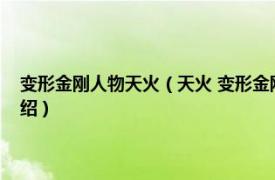 变形金刚人物天火（天火 变形金刚超能量争夺战中的角色相关内容简介介绍）