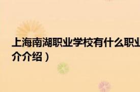 上海南湖职业学校有什么职业（上海市南湖职业学校相关内容简介介绍）