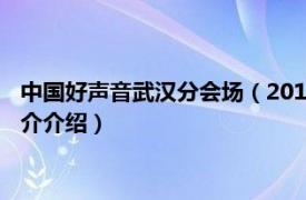 中国好声音武汉分会场（2013中国好声音武汉演唱会相关内容简介介绍）