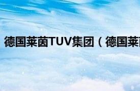 德国莱茵TUV集团（德国莱茵TUV集团相关内容简介介绍）