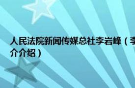 人民法院新闻传媒总社李岩峰（李岩峰 人民法院报社副总编辑相关内容简介介绍）