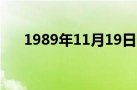 1989年11月19日介绍了相关内容简介