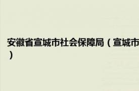 安徽省宣城市社会保障局（宣城市人力资源和社会保障局相关内容简介介绍）