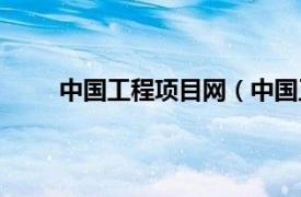 中国工程项目网（中国工程网相关内容简介介绍）