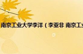 南京工业大学李洋（李亚非 南京工业大学信息学院主任相关内容简介介绍）