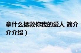 拿什么拯救你我的爱人 简介（拿什么拯救你我的爱人相关内容简介介绍）