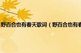 野百合也有春天歌词（野百合也有春天 永邦演唱的歌曲相关内容简介介绍）