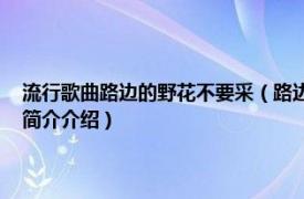 流行歌曲路边的野花不要采（路边的野花不要采 卓依婷演唱歌曲相关内容简介介绍）