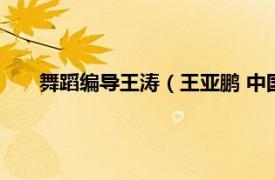 舞蹈编导王涛（王亚鹏 中国舞蹈编导相关内容简介介绍）