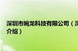 深圳市婉龙科技有限公司（深圳婉龙科技有限公司相关内容简介介绍）