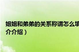 姐姐和弟弟的关系称谓怎么填写（姐姐 亲属关系称谓相关内容简介介绍）