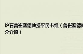 炉石普崔塞德教授平民卡组（普崔塞德教授 卡牌游戏《炉石传说》中的卡牌相关内容简介介绍）