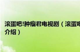 滚蛋吧!肿瘤君电视剧（滚蛋吧！肿瘤君 芒果台网剧相关内容简介介绍）