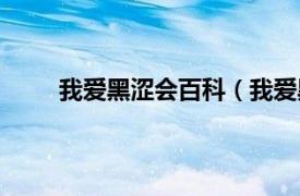 我爱黑涩会百科（我爱黑涩会相关内容简介介绍）