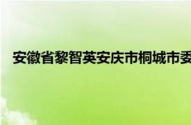 安徽省黎智英安庆市桐城市委常委、副市长任职相关内容简介