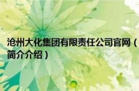 沧州大化集团有限责任公司官网（河北沧州大化集团有限责任公司相关内容简介介绍）