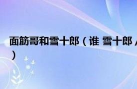 面筋哥和雪十郎（谁 雪十郎 / 面筋哥演唱歌曲相关内容简介介绍）