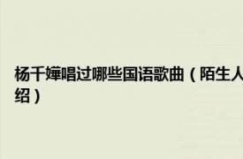 杨千嬅唱过哪些国语歌曲（陌生人 杨千嬅1998年所唱歌曲相关内容简介介绍）