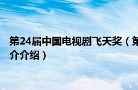 第24届中国电视剧飞天奖（第32届中国电视剧飞天奖相关内容简介介绍）