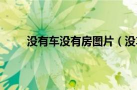 没有车没有房图片（没车没房相关内容简介介绍）