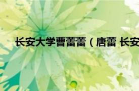 长安大学曹蕾蕾（唐蕾 长安大学副教授相关内容简介介绍）