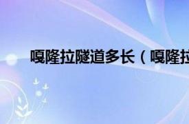 嘎隆拉隧道多长（嘎隆拉山隧道相关内容简介介绍）