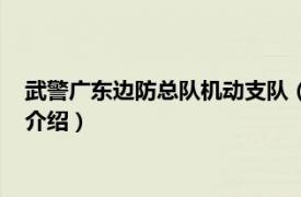 武警广东边防总队机动支队（武警广东省边防总队相关内容简介介绍）