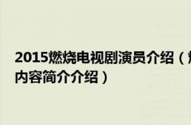 2015燃烧电视剧演员介绍（燃烧 2015年吴斌执导的电视剧相关内容简介介绍）